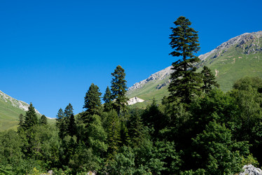 Similar image 13289887