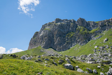 Similar image 13290059