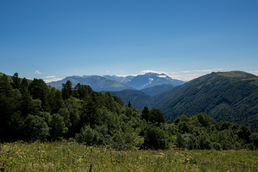 Similar image 13290063