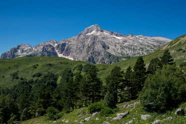 Similar image 13290198