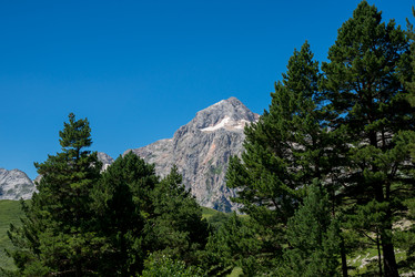 Similar image 13290199