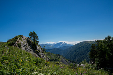 Similar image 13290216