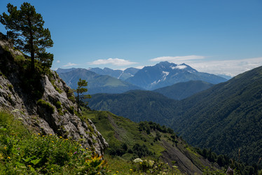 Similar image 13290262