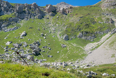 Similar image 13315915