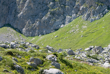 Similar image 13315919