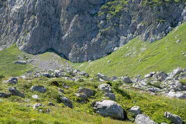 Similar image 13315926