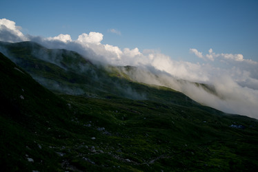 Similar image 13315925