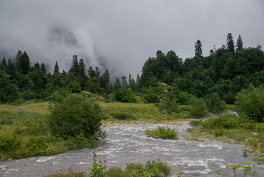 Similar image 13315959