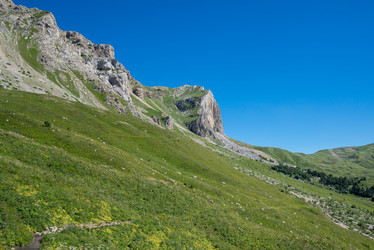 Similar image 13315980