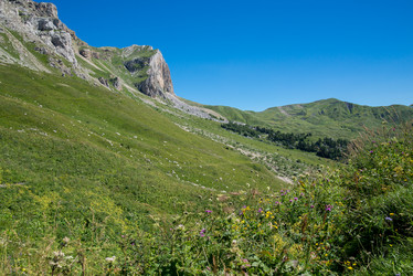 Similar image 13315933