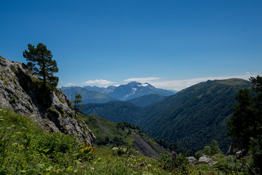 Similar image 13315936