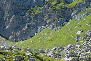 Similar image 13315941