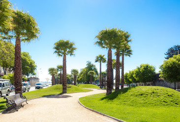 Similar image 13309551