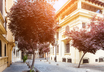 Similar image 13309552