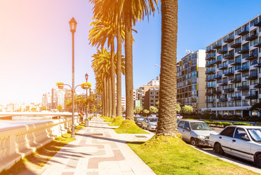 Similar image 13301264