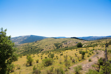 Similar image 13309583