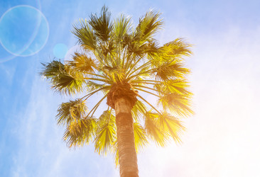 Similar image 13309605