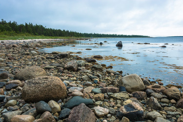 Similar image 13316452