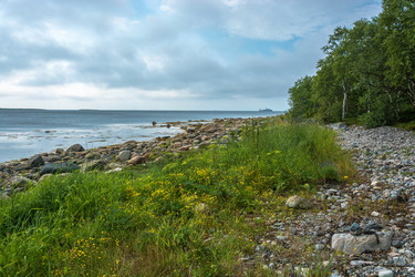 Similar image 13316454