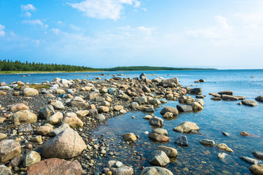 Similar image 13316456