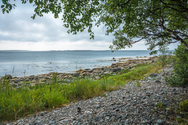 Similar image 13316472