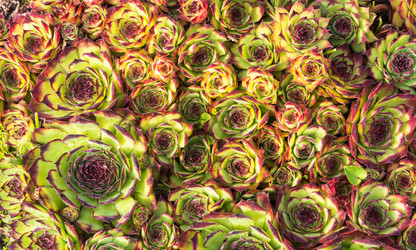 Similar image 13308711