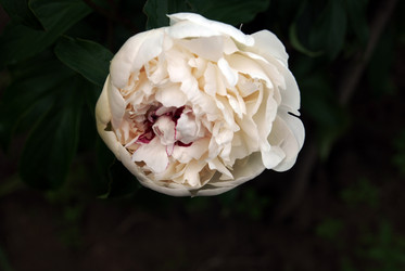 Similar image 13292316