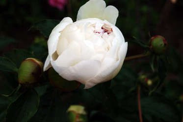 Similar image 13292317