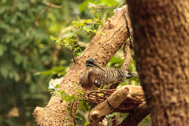 Similar image 13308722