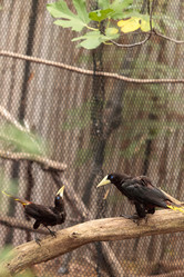 Similar image 13308723