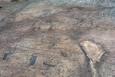 Similar image 13308740