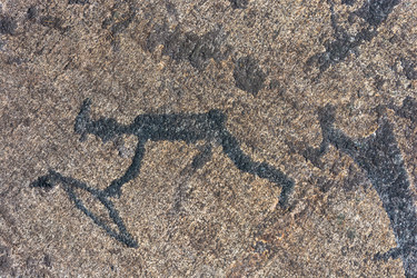 Similar image 13315900