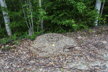 Similar image 13315999