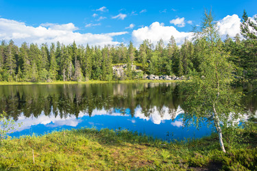 Similar image 13316000