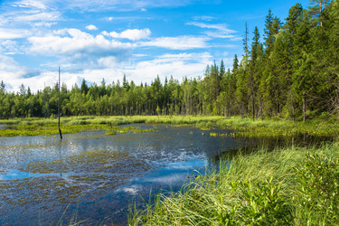 Similar image 13316002