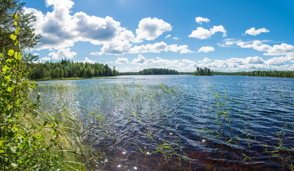 Similar image 13316006