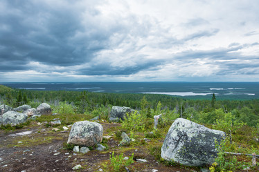 Similar image 13316397