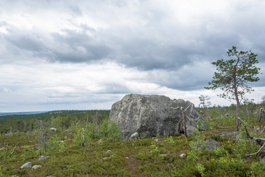 Similar image 13316398