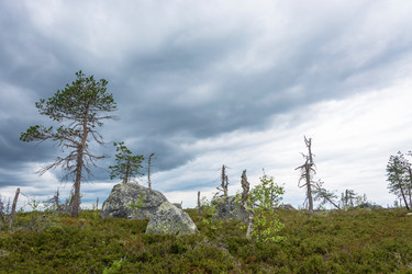 Similar image 13316399