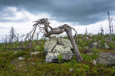 Similar image 13316400