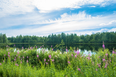 Similar image 13316411