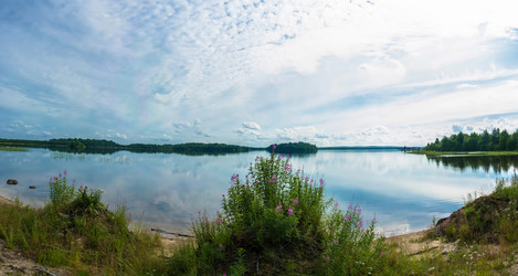 Similar image 13316413