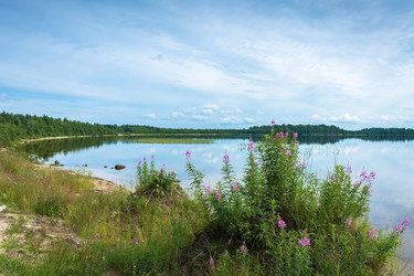 Similar image 13316414