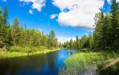 Similar image 13316430