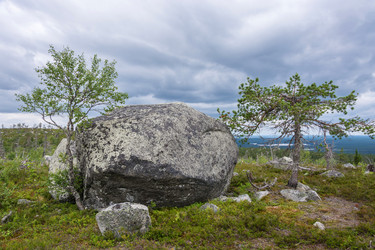 Similar image 13316431