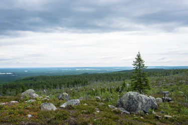 Similar image 13316433