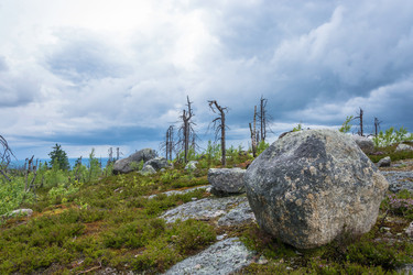 Similar image 13316434