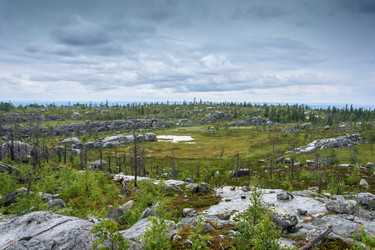 Similar image 13316435