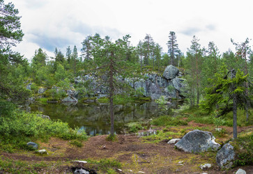 Similar image 13316459