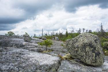 Similar image 13316475